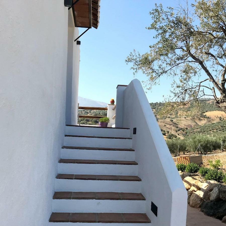 Finca Zayas Casa Rural & Guest Suites Periana Buitenkant foto